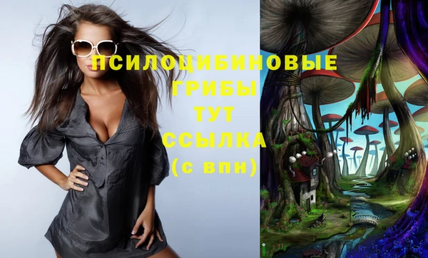 хмурый Аша