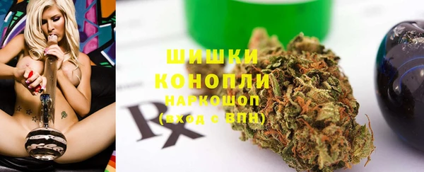 хмурый Аша