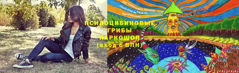 Псилоцибиновые грибы мицелий  Кострома 