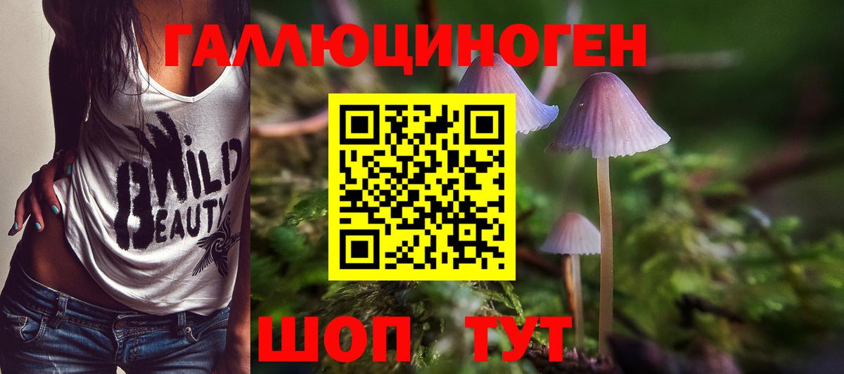 Кострома  Галлюциногенные грибы мицелий  Вход с VPN 