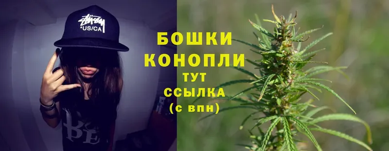 наркота  Кострома  Шишки марихуана OG Kush 