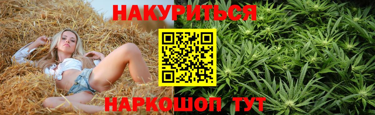 Конопля Ganja  Кострома  Канабис сатива 
